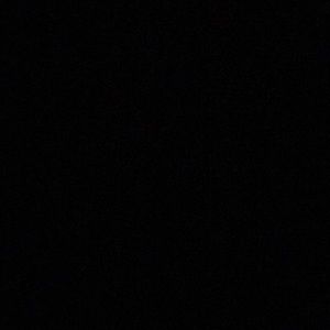 Meet your Posher, Harrison